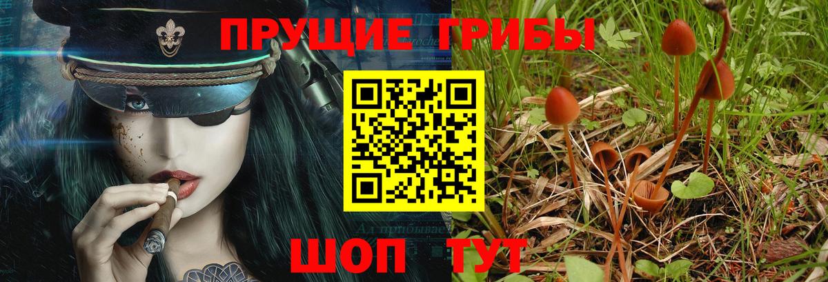 Галлюциногенные грибы ЛСД Тюмень