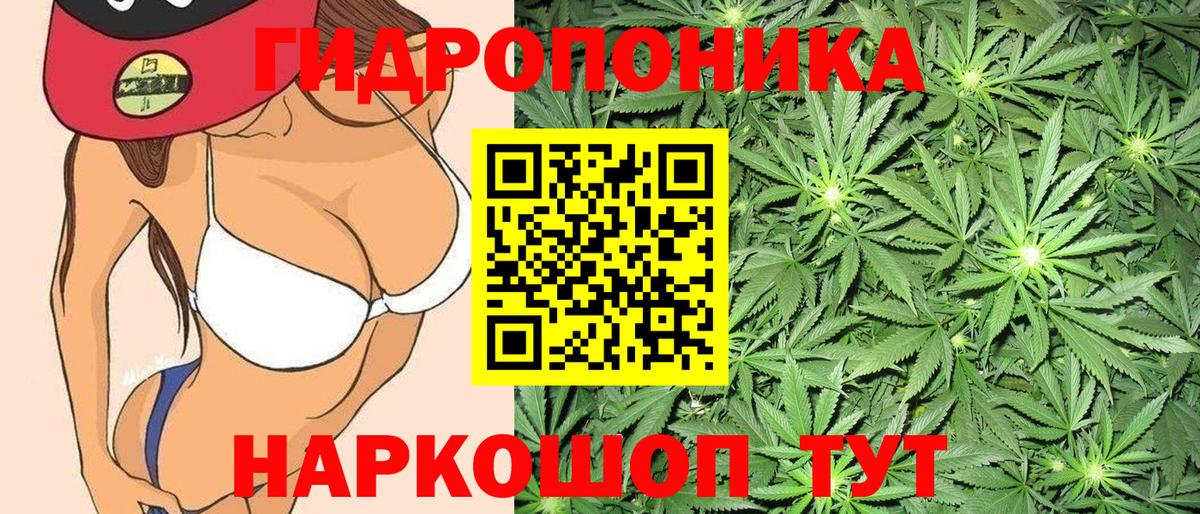 Шишки марихуана ГИДРОПОН Тюмень